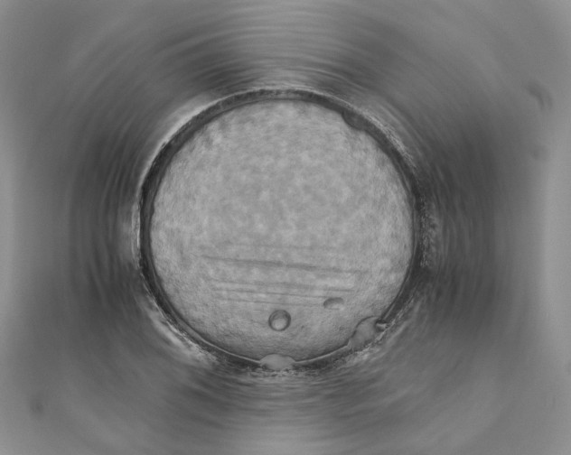 X0000110971076200907171706