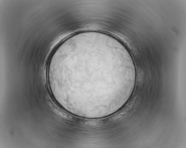 X0000110971078200907171706