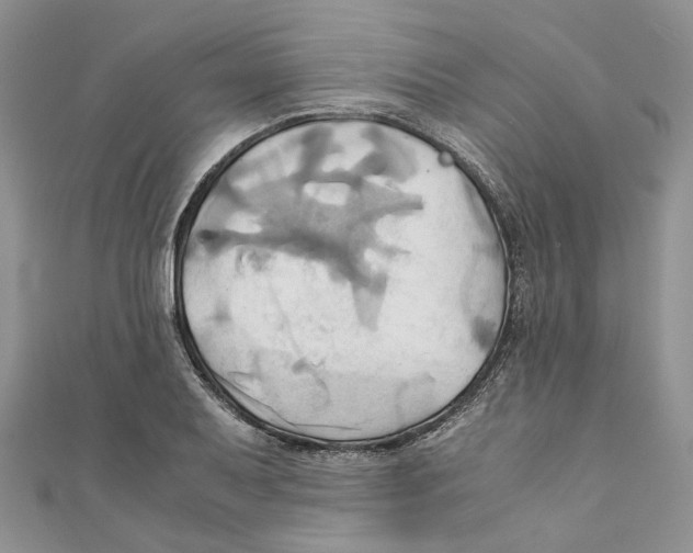 X0000110971079200907171706