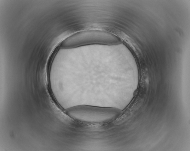 X0000110971080200907171706