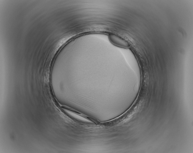 X0000110971081200907171706