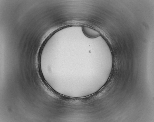 X0000110971082200907171705