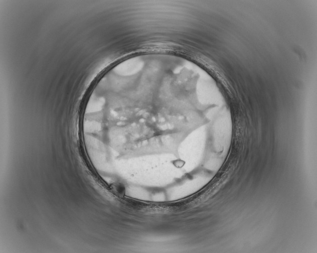 X0000110971083200907171705