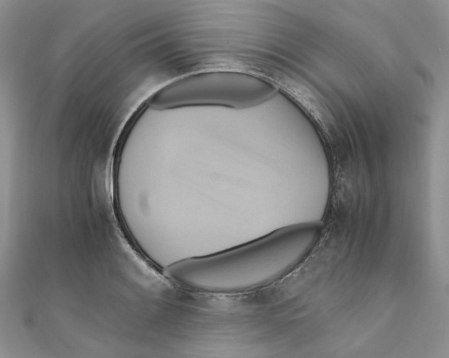 X0000110971084200907171705