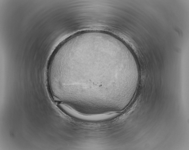 X0000110971085200907171705