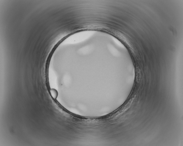 X0000110971087200907171705