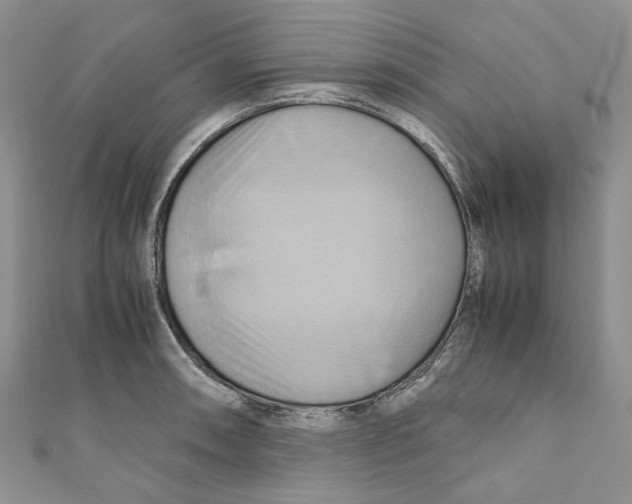 X0000110971090200907171705