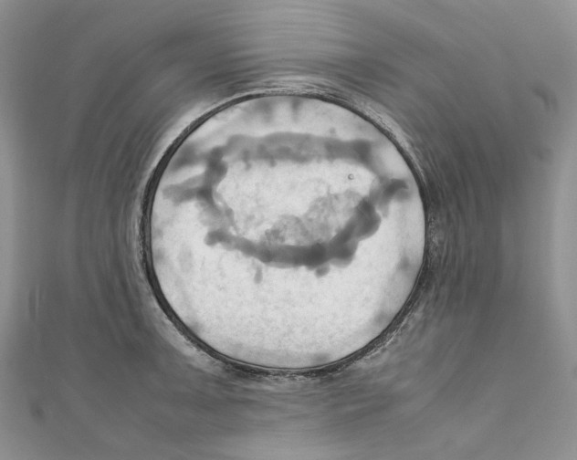 X0000110971091200907171705