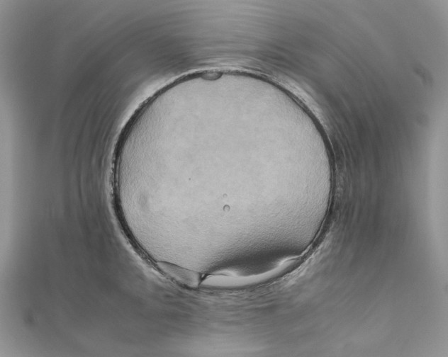 X0000110971093200907171705