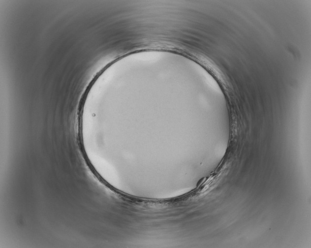 X0000110971095200907171705
