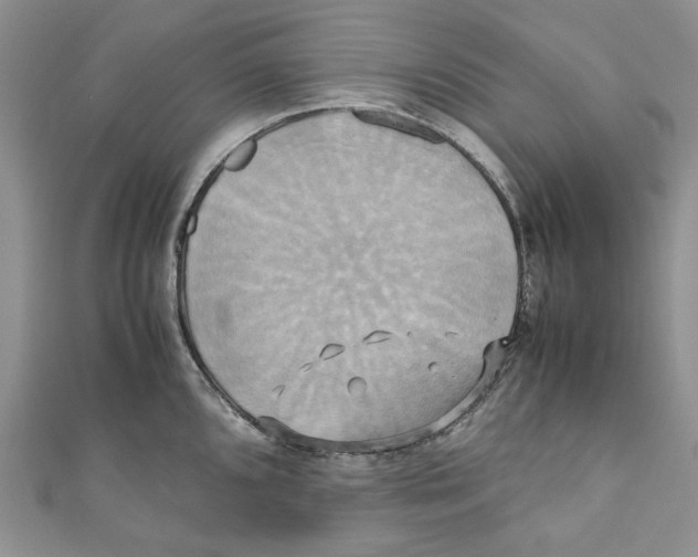 X0000110971096200907171705