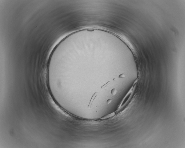 X0000110971100200907171705