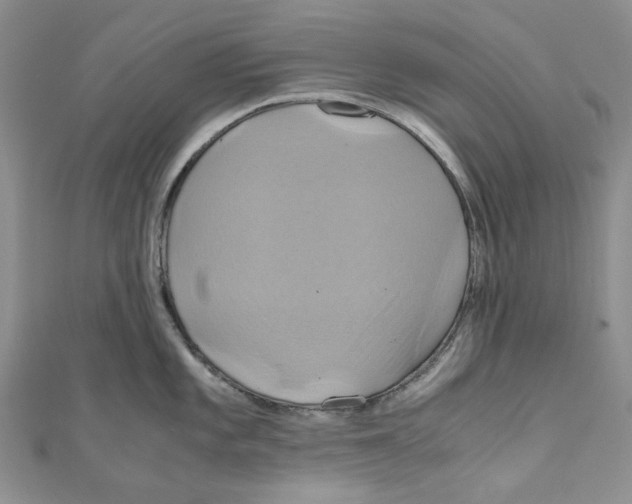 X0000110971101200907171705