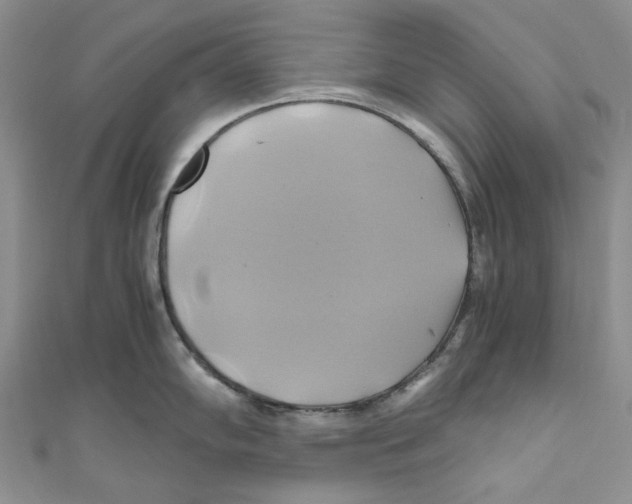X0000110971102200907171705