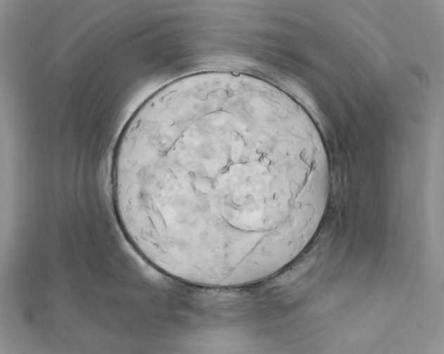 X0000110971103200907171705