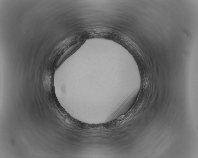 X0000110971108200907171705