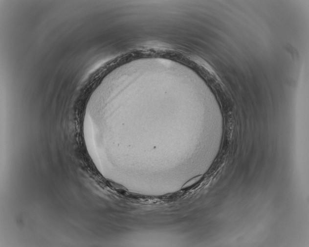 X0000110971112200907171705
