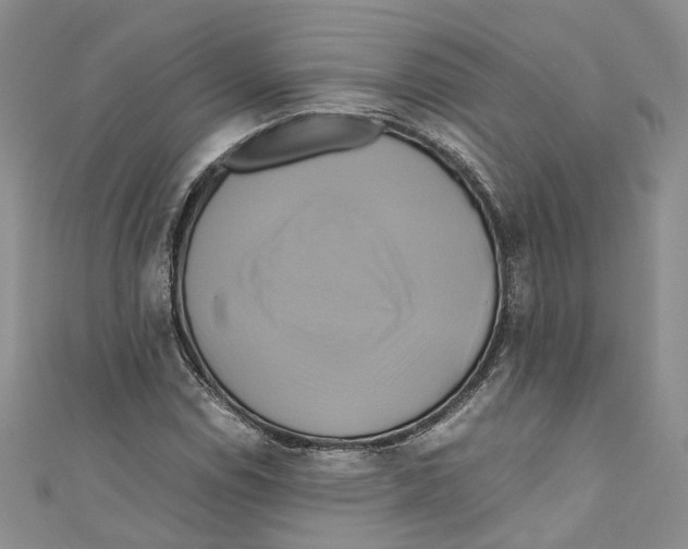 X0000110971114200907171705