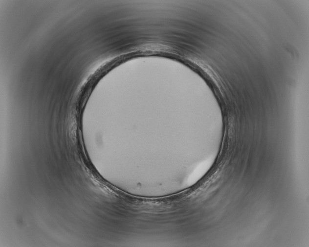 X0000110971115200907171705