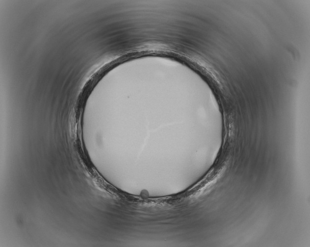 X0000110971117200907171705