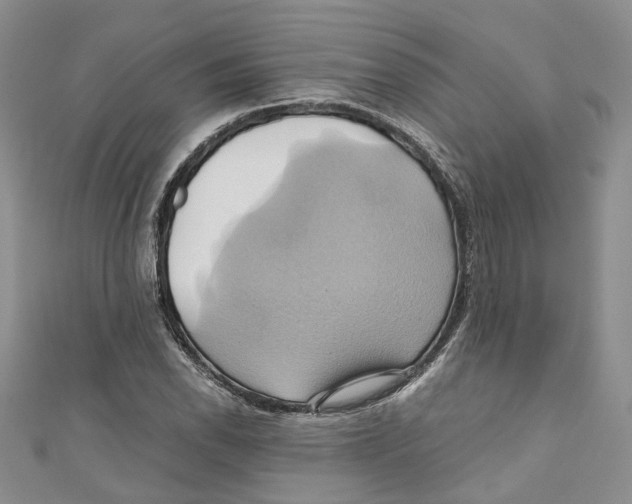 X0000110971118200907171705