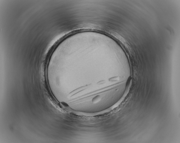 X0000110971120200907171705
