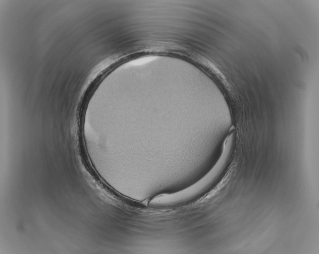 X0000110971122200907171705