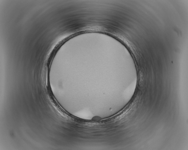 X0000110971123200907171705