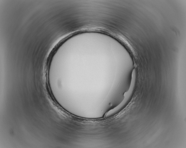 X0000110971124200907171705