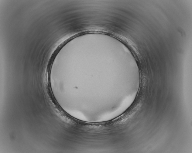 X0000110971125200907171705