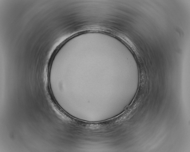 X0000110971128200907171705