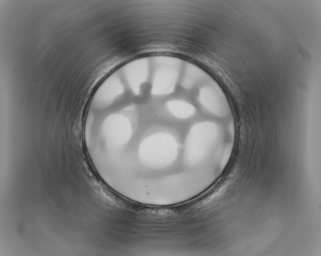X0000110971129200907171705