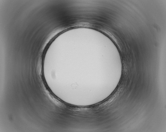 X0000110971131200907171705
