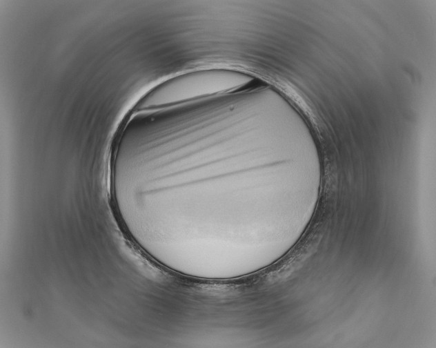 X0000110971132200907171705