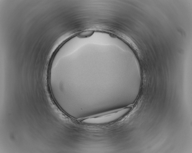 X0000110971138200907171705