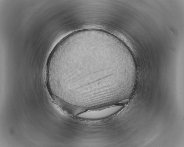 X0000110971140200907171705