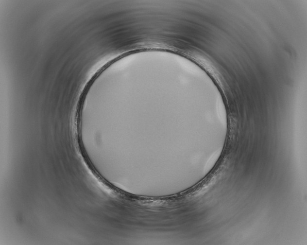 X0000110971141200907171705