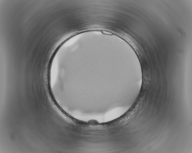 X0000110971142200907171705