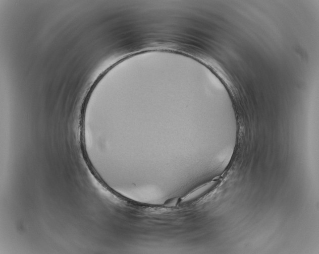X0000110971143200907171705