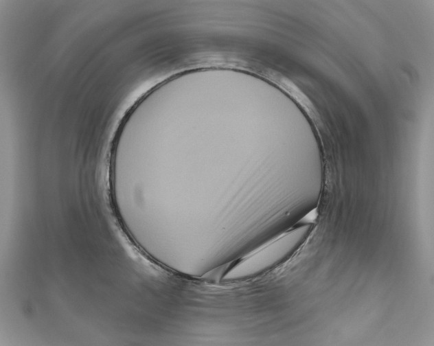 X0000110971144200907171705