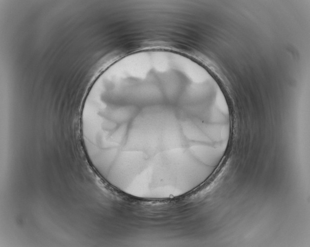 X0000110971145200907171705