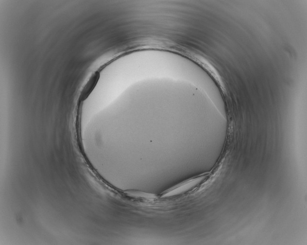 X0000110971146200907171705