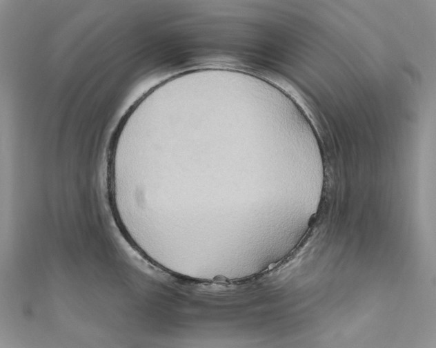 X0000110971147200907171705