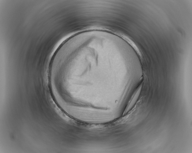 X0000110971148200907171705