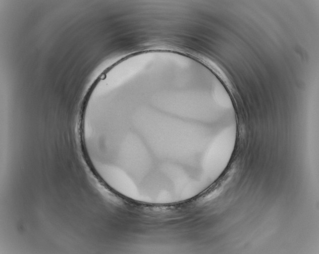 X0000110971149200907171705