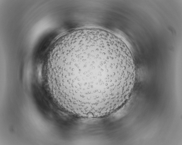 X0000110971150200907171705