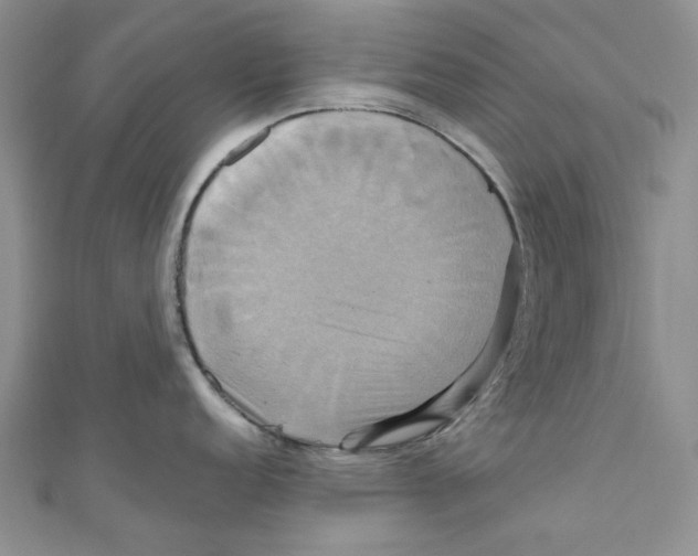 X0000110971152200907171705
