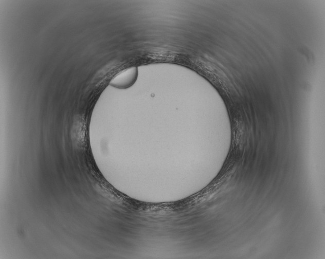 X0000110971154200907171705