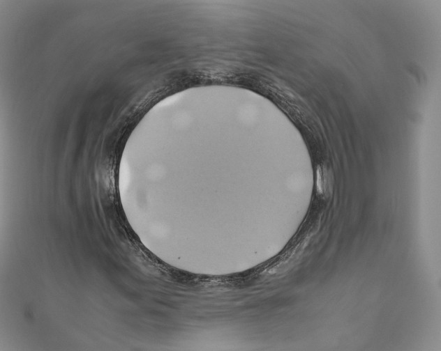 X0000110971155200907171705
