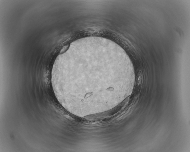 X0000110971156200907171704